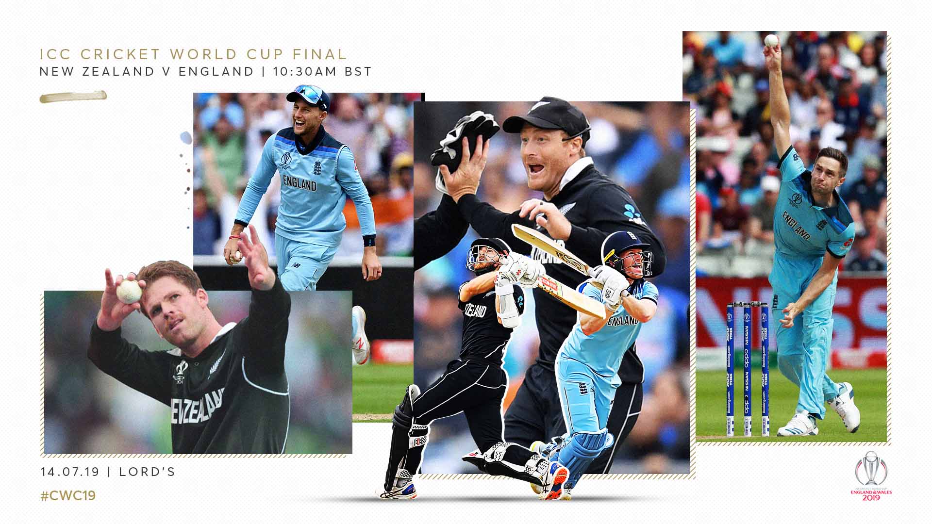Cricket World Cup Final Graphic